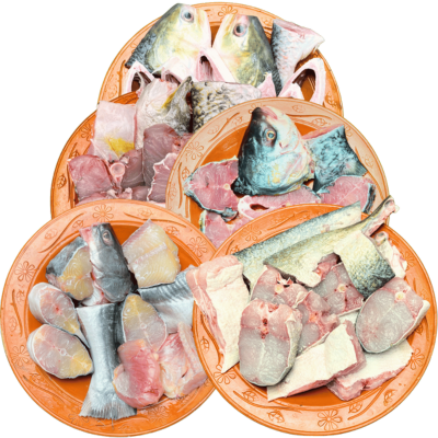 নদীর বড় মাছ