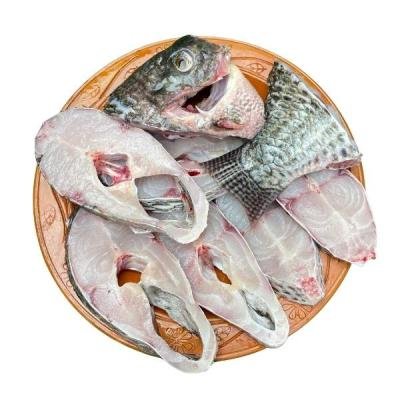 তেলাপিয়া