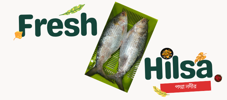 Special grocery sale off this month