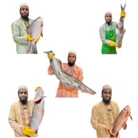 বড় মাছের ভাগা