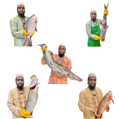 বড় মাছের ভাগা
