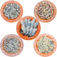 চিংড়ি মাছ