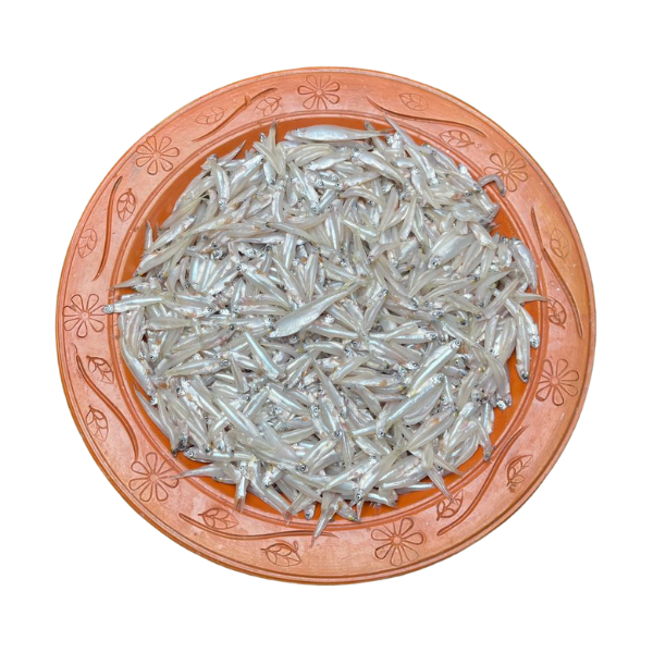 কাচকি মাছ