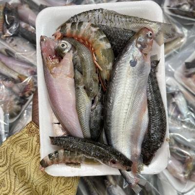 পাঁচমিশালি