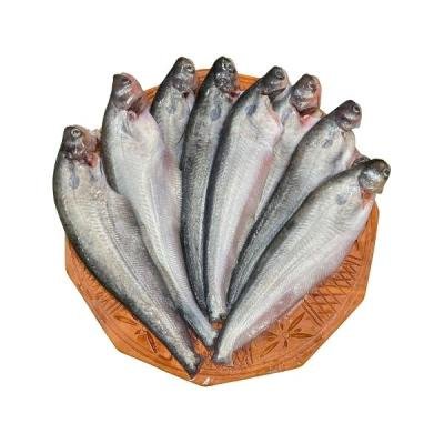 কাপ্তাই লেকের দেশি পাবদা মাছ