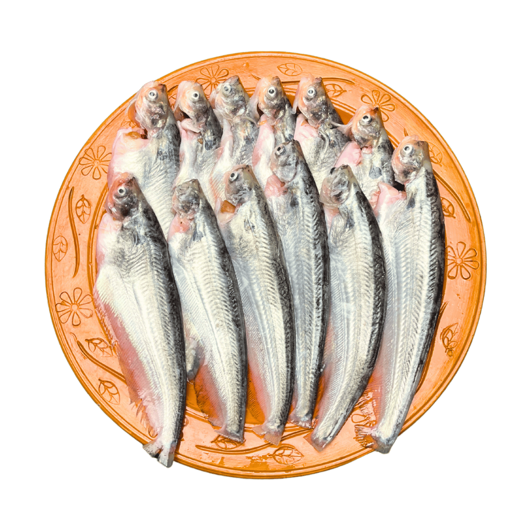 নদীর পাবদা মাছ