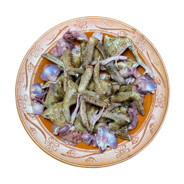 কবুতরের বাচ্চা