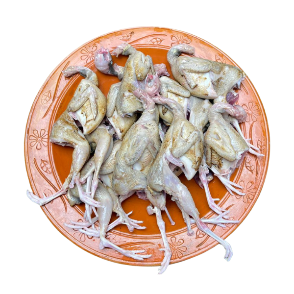 কোয়েল পাখি